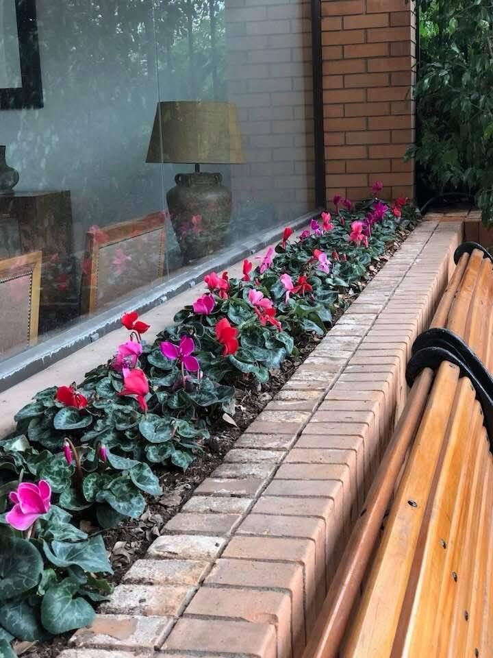 Paisajismo y diseño de jardines, foto 4 de 4