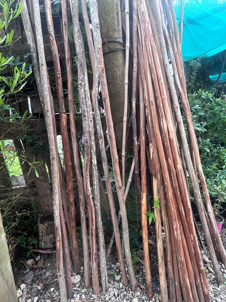 Venta de insumos y plantas, foto 4 de 4